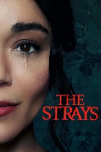 دانلود فیلم The Strays 2023321987-249676733