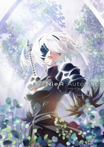 دانلود انیمه Nier: Automata Ver1.1a323874-418166474