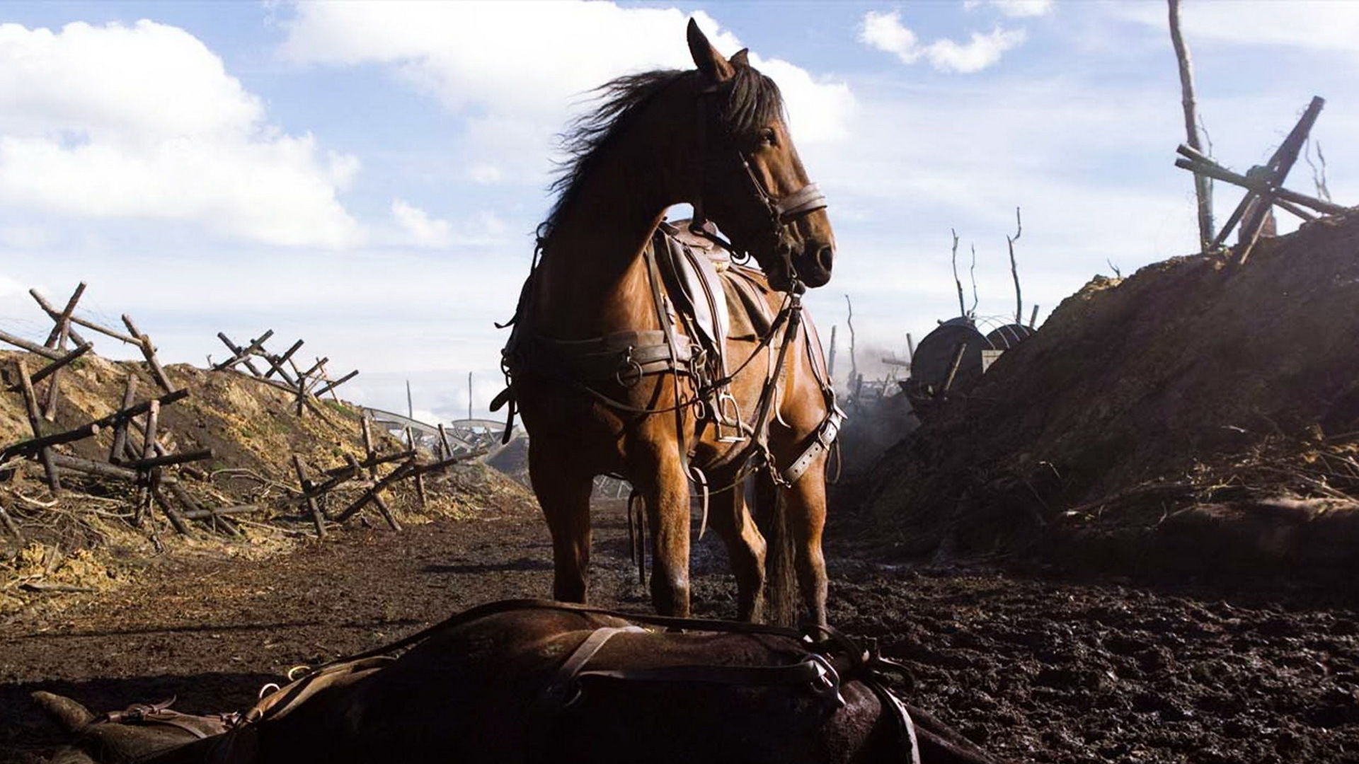 دانلود فیلم هندی War Horse 2011