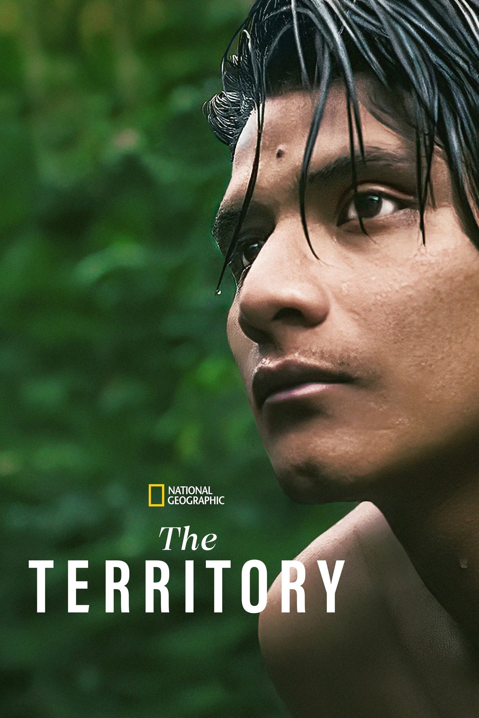 دانلود فیلم The Territory 2022