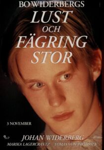 دانلود فیلم Lust och fägring stor 1995353136-1340672313