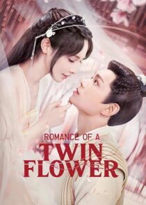 دانلود سریال Romance of a Twin Flower379211-1906157413