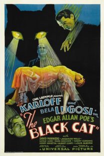 دانلود فیلم The Black Cat 1934378235-1481961619