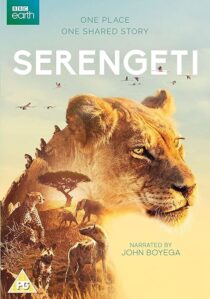 دانلود سریال Serengeti378761-1429185674