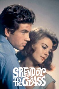 دانلود فیلم Splendor in the Grass 1961382554-1143927272