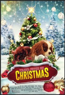 دانلود فیلم Project: Puppies for Christmas 2019390454-2030450613