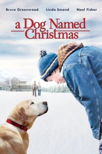 دانلود فیلم A Dog Named Christmas 2009389298-1175933410