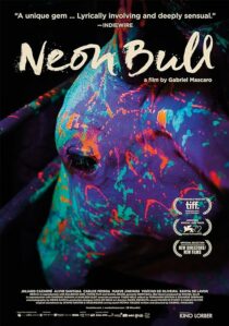 دانلود فیلم Neon Bull 2015396774-524041082