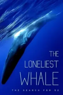 دانلود فیلم The Loneliest Whale: The Search for 52 2021403098-492065111