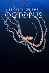 دانلود سریال Secrets of the Octopus401286-552248603