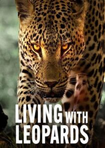 دانلود مستند Living with Leopards 2024400477-1994425446