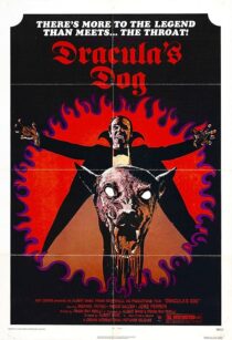 دانلود فیلم Dracula’s Dog 1977407625-1487373811