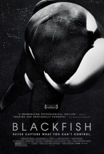 دانلود فیلم Blackfish 2013412328-446644066