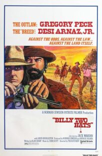 دانلود فیلم Billy Two Hats 1974411057-858569618