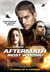 دانلود فیلم Aftermath 2024414352-1070945554