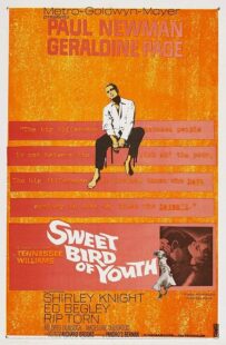 دانلود فیلم Sweet Bird of Youth 1962415738-693141730