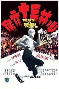 دانلود فیلم The 36th Chamber of Shaolin 1978418237-868270777