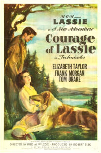 دانلود فیلم Courage of Lassie 1946417427-1535807696