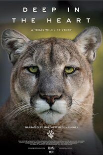 دانلود مستند Deep in the Heart: A Texas Wildlife Story 2022421545-778801704