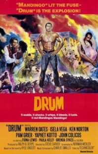 دانلود فیلم Drum 1976423508-700172171