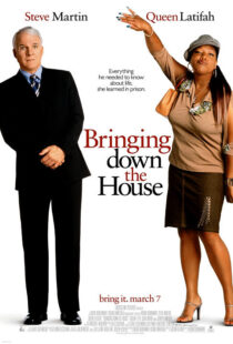 دانلود فیلم Bringing Down the House 2003424024-2067865529