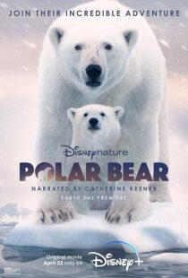 دانلود مستند Polar Bear 2022422974-2127719648